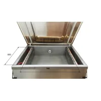 Вакуумный упаковщик DZQ-600/S