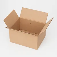 Картонна коробка 0,5 кг 25 шт.