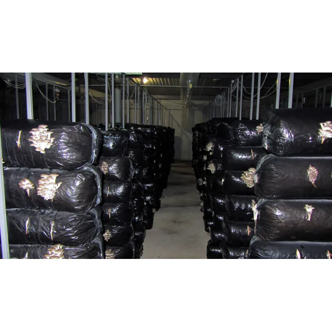 Мешки для грибов 380x1000 мм 50 мкм 10 шт. — 2