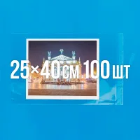 Поліпропіленовий пакет з липким клапаном 250x400 мм 100 шт.