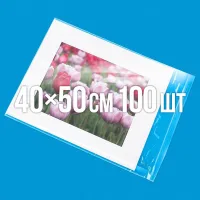 Поліпропіленовий пакет з липким клапаном 400x500 мм 100 шт.
