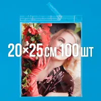 Полипропиленовый пакет с липким клапаном 200x250 мм 100 шт.
